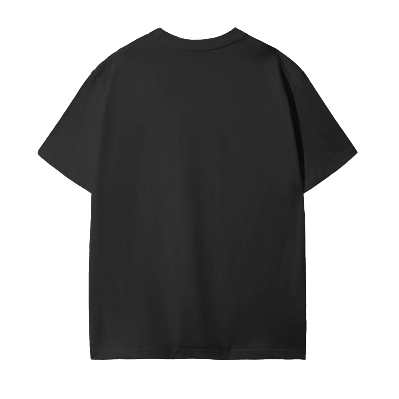 Gwinnett Lions 4" Badge Tee